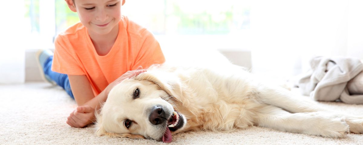pet-cleaning-carpet-cleaning
